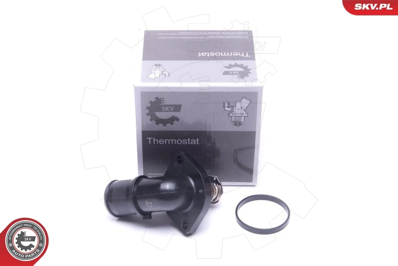 Thermostat, coolant